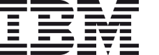 IBM Logo